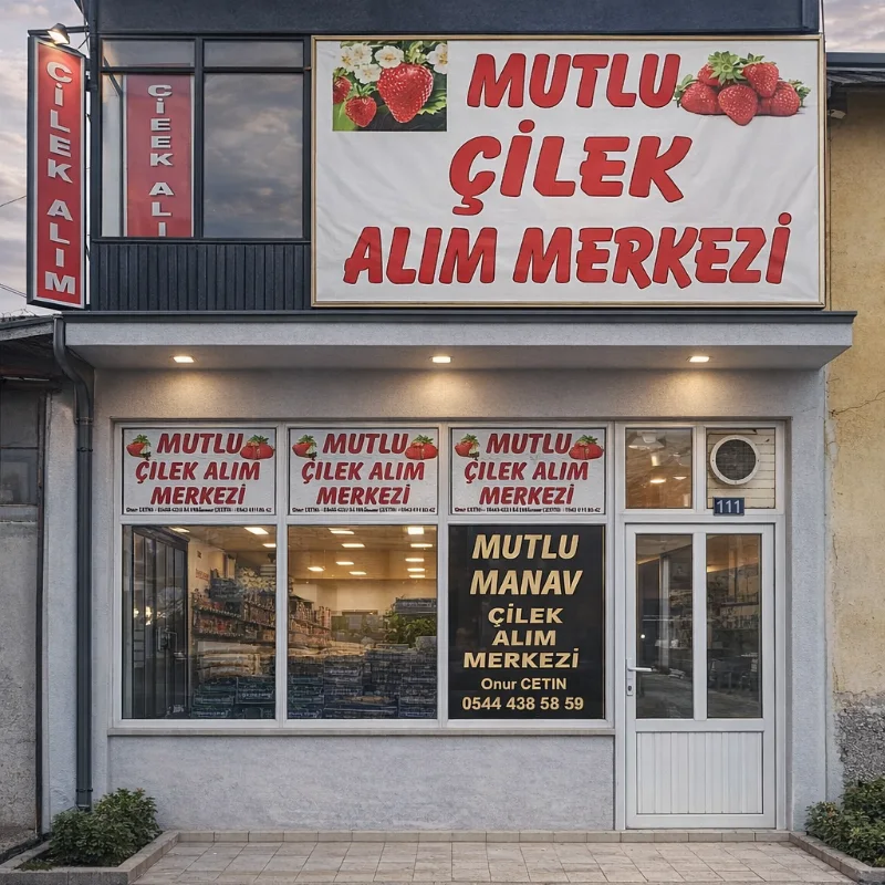Ana Sayfa Mutlu Çilek alım merkezi ve manav